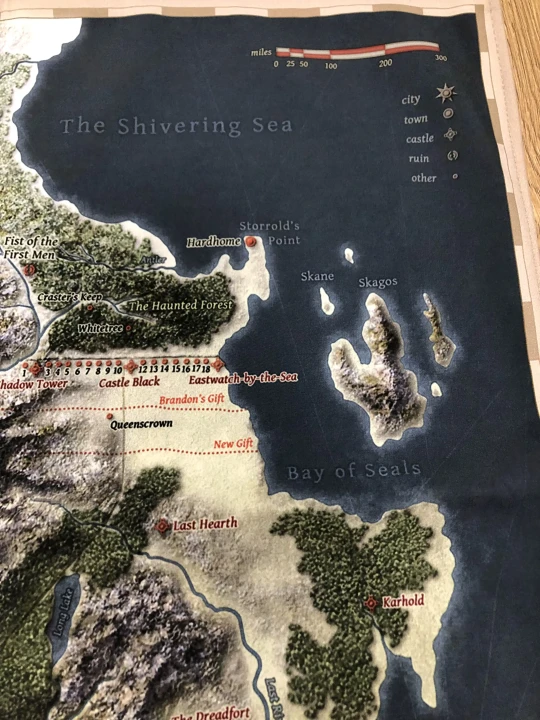 Mapa Fantasy, druk personalizowany, druk na tkaninach, druk na softshellu,  zbliżenie