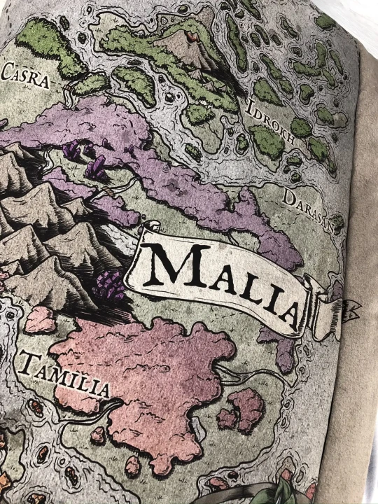 Koc-Kołdra Zintegrowana z Twoją Grafiką (Bawełna + Minky), druk personalizowany,  dowolna grafika na kocu,  ręcznie szyte w polsce, druk tkanin w polsce.   Mapa Fantasy.  kolorowa mapa, druk na bawełnie premium, zbliżenie na napisy